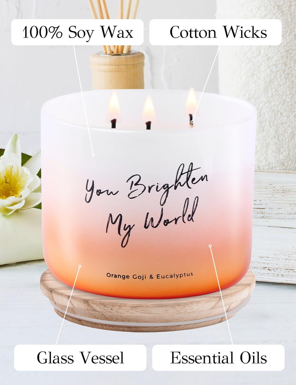 Orange Goji Berry & Eucalyptus 3-Wick Soy Candle, 15.8 Oz | Highly Scented Aromatherapy Candle for Stress Relief | “You Brighten My World” | Gift for Women & Men | Long-Lasting, Clean Burn