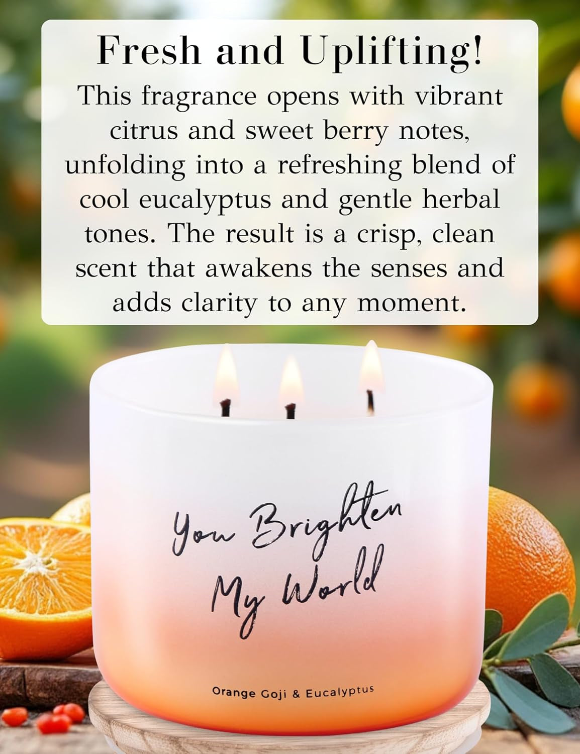 Orange Goji Berry & Eucalyptus 3-Wick Soy Candle, 15.8 Oz | Highly Scented Aromatherapy Candle for Stress Relief | “You Brighten My World” | Gift for Women & Men | Long-Lasting, Clean Burn