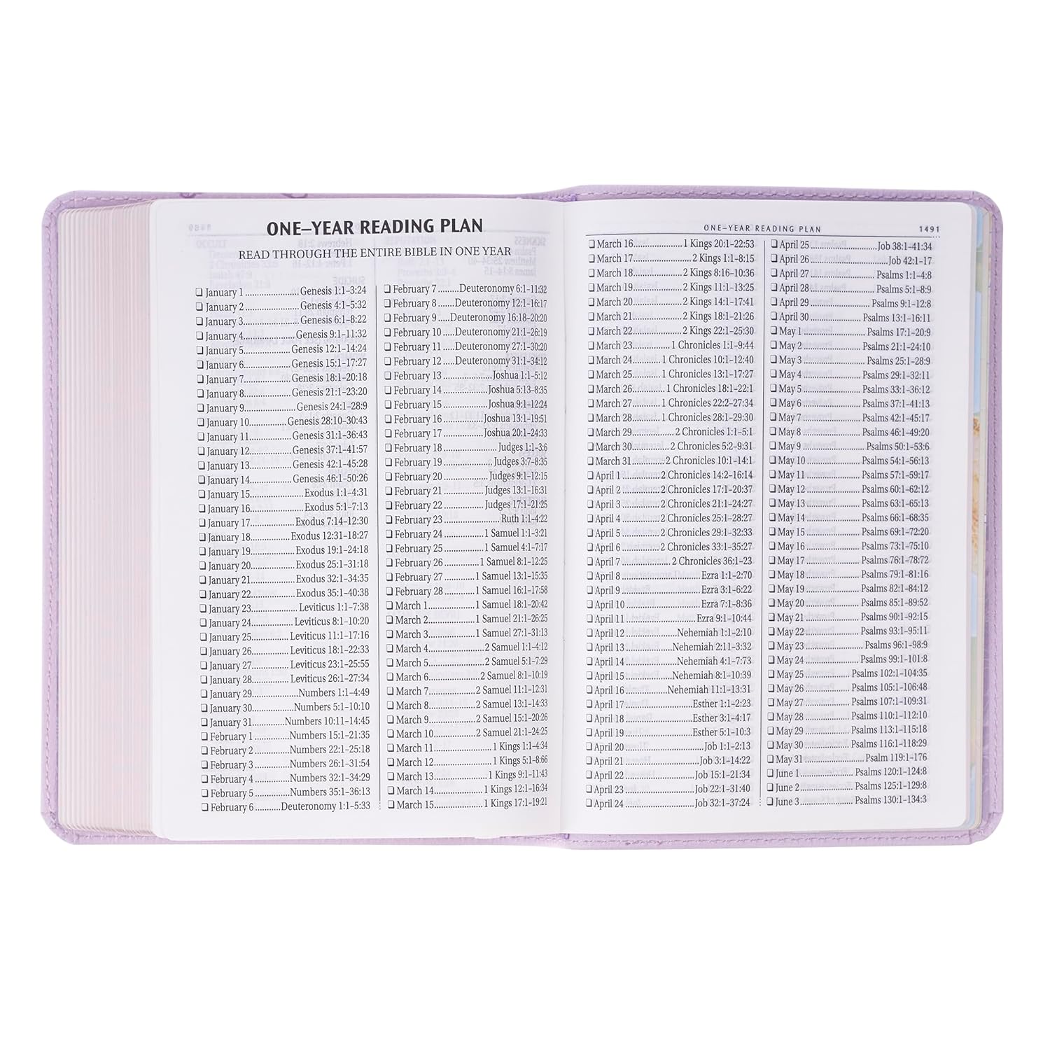 KJV Compact Large Print Bible, Lavender Vegan Leather, Red Letter – A Bloom of Faith and Spiritual Joy