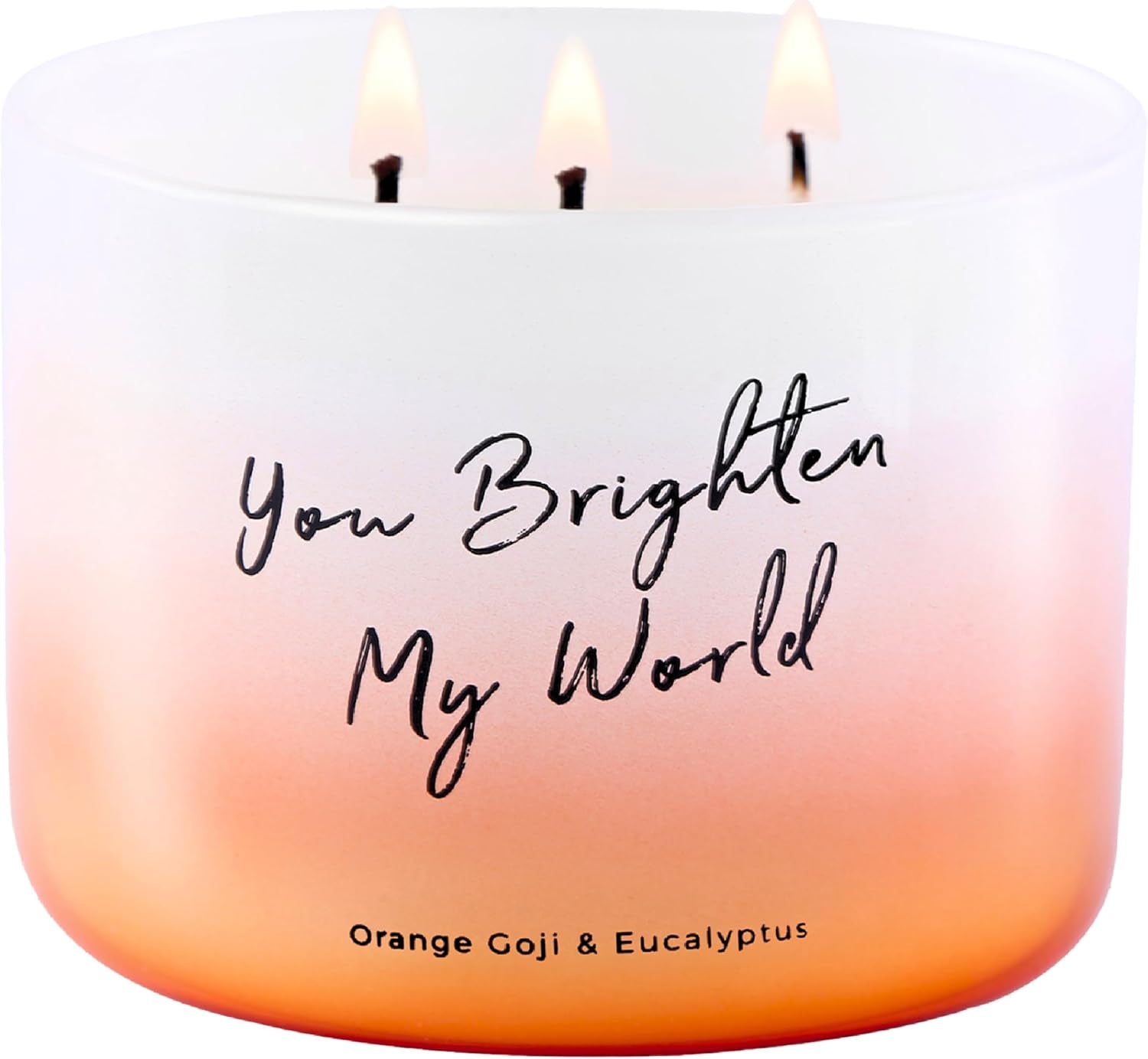 Orange Goji Berry & Eucalyptus 3-Wick Soy Candle, 15.8 Oz | Highly Scented Aromatherapy Candle for Stress Relief | “You Brighten My World” | Gift for Women & Men | Long-Lasting, Clean Burn
