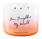 Orange Goji Berry & Eucalyptus 3-Wick Soy Candle, 15.8 Oz – A Glow of Clarity and Soulful Renewal